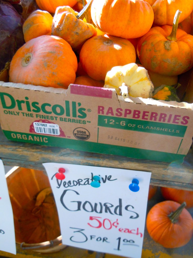 It's decorative gourd season at the Ann Arbor farmers' market.
